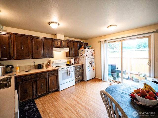 919 Harding Rd, Elma, WA 98541 - kitchen featuring white appliances, dark brown cabinetry, under cabinet range hood, light countertops, and light wood-style floors