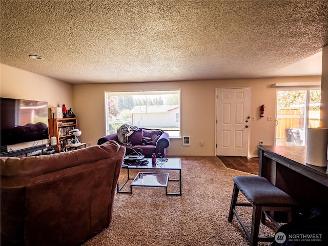 919 Harding Rd, Elma, WA 98541 - living room with dark colored carpet and a textured ceiling