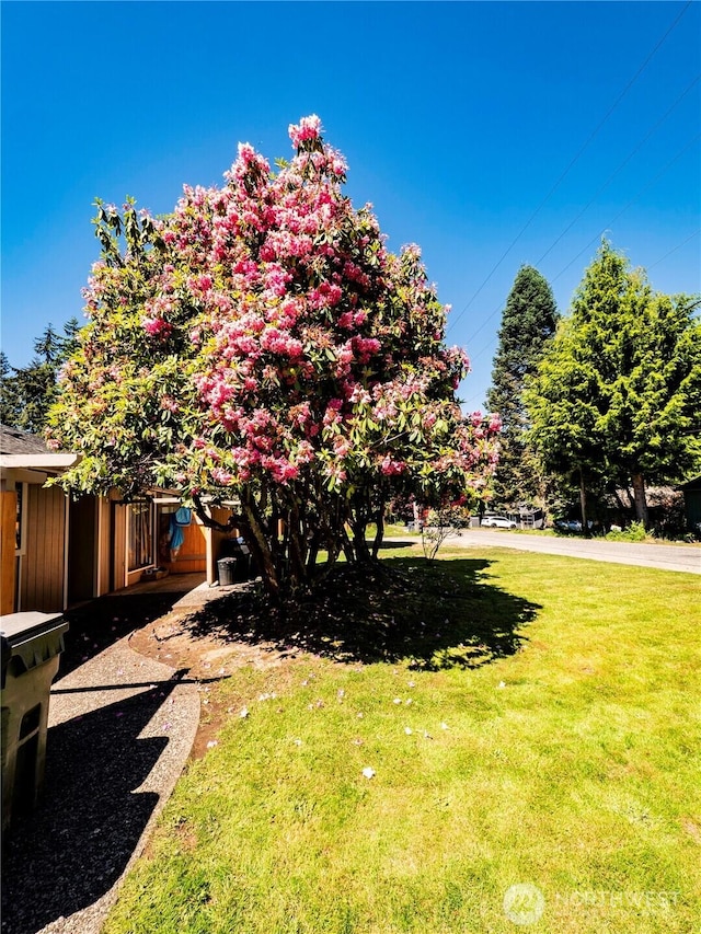 919 Harding Rd, Elma, WA 98541 - view of green lawn
