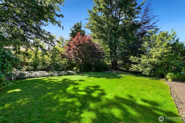 15831 Manion Way NE, Duvall, WA 98019 - view of yard