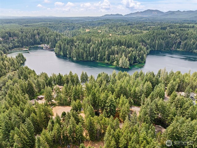 531 N Mountain View Dr, Hoodsport, WA 98548 - photo 5