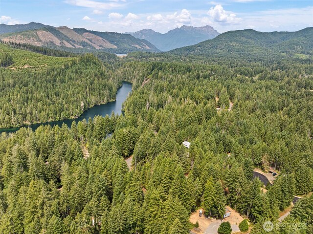 531 N Mountain View Dr, Hoodsport, WA 98548 - photo 26
