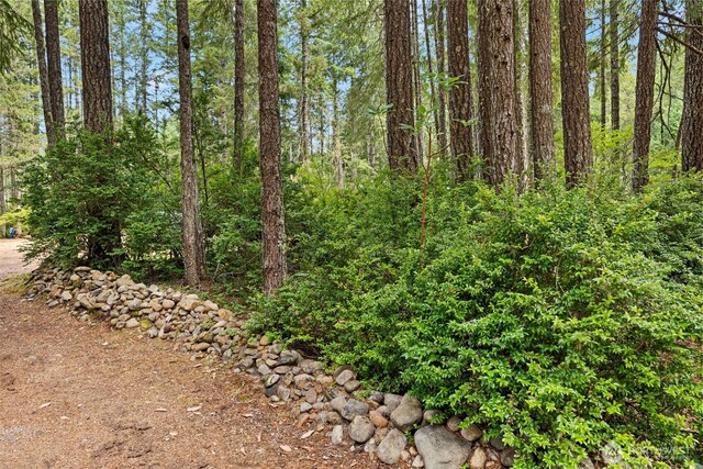 531 N Mountain View Dr, Hoodsport, WA 98548 - photo 28