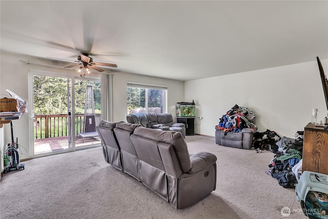 123 171st Ave SE, Tenino, WA 98589 - photo 9