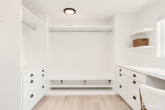 106 W Mcgraw St, Seattle, WA 98119 - spacious closet with light wood-style floors