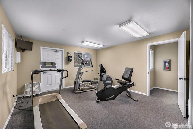 11113 NE 125th Ln Unit E-319, Kirkland, WA 98034 - workout room featuring baseboards, carpet flooring, and healthy amount of natural light