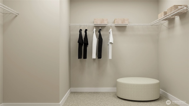 5923 136th St SW, Edmonds, WA 98026 - view of spacious closet
