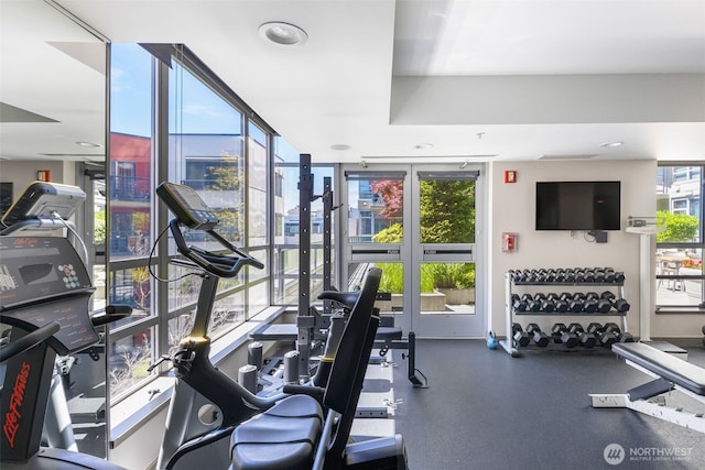 2929 1st Ave Unit 319, Seattle, WA 98121 - exercise room featuring french doors, a wall of windows, and recessed lighting