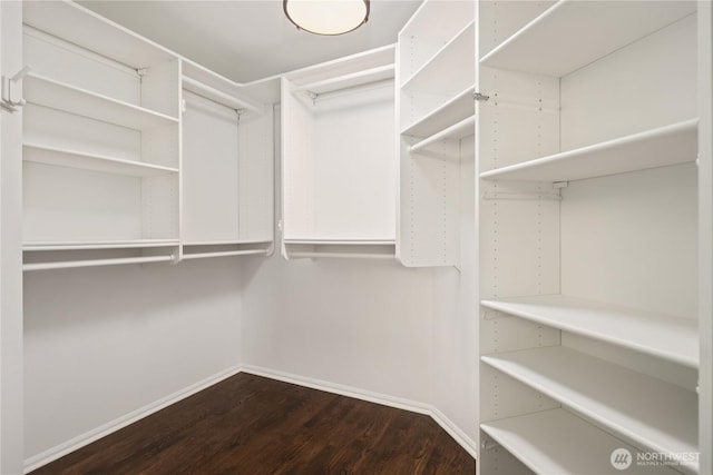 2260 269th Ct SE, Sammamish, WA 98075 - walk in closet featuring dark wood finished floors