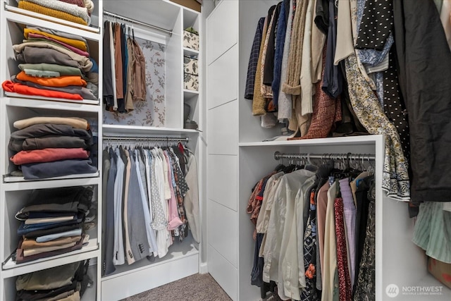 8603 E Gilman Ave, Arlington, WA 98223 - walk in closet with carpet floors