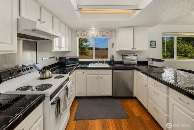 17464 Dunbar Rd Unit 1, Mount Vernon, WA 98273 - kitchen with under cabinet range hood, stainless steel appliances, a sink, white cabinetry, and dark wood-style flooring