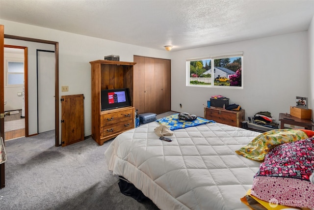 17464 Dunbar Rd Unit 1, Mount Vernon, WA 98273 - carpeted bedroom with a textured ceiling and a closet