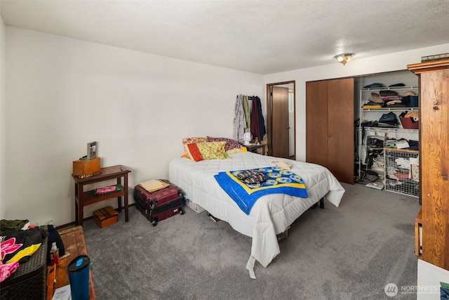 17464 Dunbar Rd Unit 1, Mount Vernon, WA 98273 - bedroom with carpet and a closet