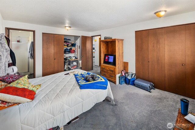 17464 Dunbar Rd Unit 1, Mount Vernon, WA 98273 - bedroom with carpet floors