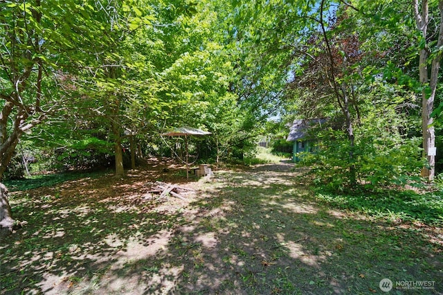 827 Hobson St, Walla Walla, WA 99362 - view of yard