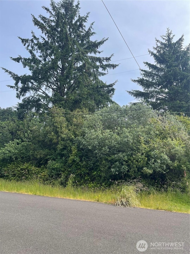 364 Sextans Ave SW, Ocean Shores, WA 98569 - photo 2