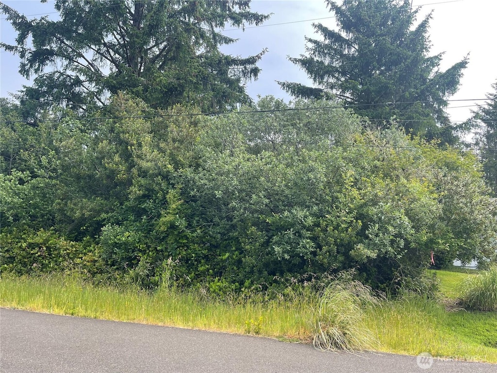 364 Sextans Ave SW, Ocean Shores, WA 98569 - photo 3