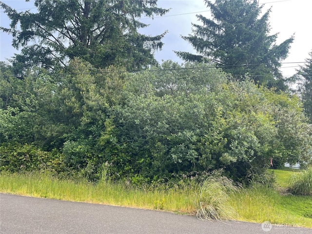364 Sextans Ave SW, Ocean Shores, WA 98569 - photo 3