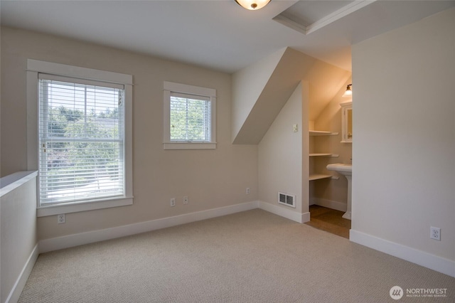 191 Compass St, Pacific Beach, WA 98571 - bonus room featuring carpet