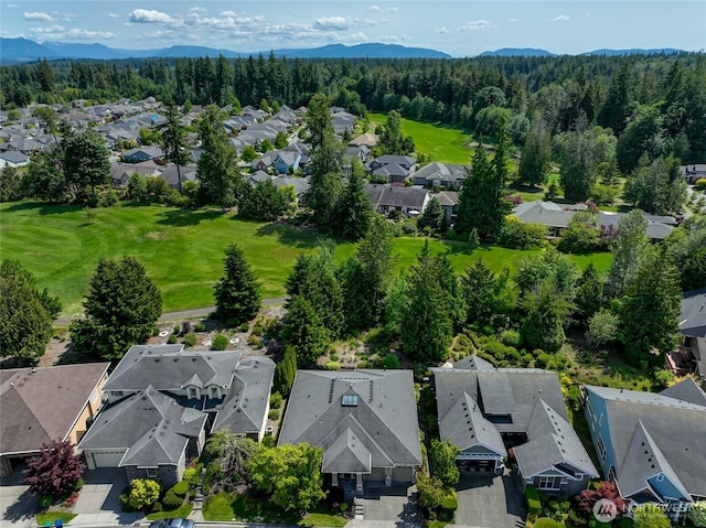 22879 NE 127th Way, Redmond, WA 98053 - aerial perspective of suburban area with a mountain backdrop and a forest