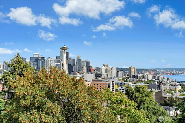 100 W Highland Dr Unit 404, Seattle, WA 98119 - view of city skyline