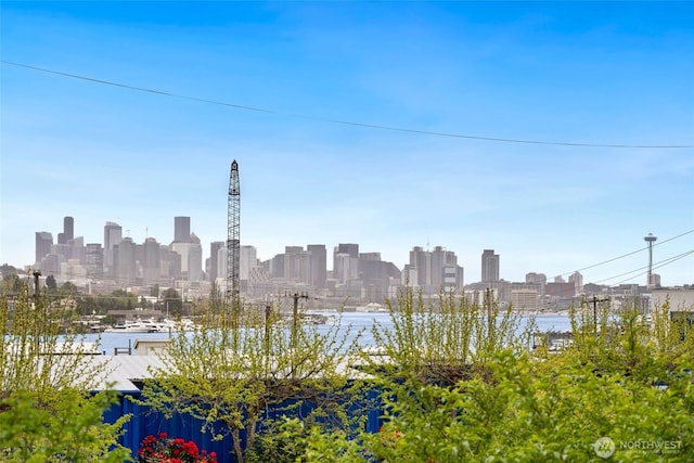 3900 2nd Ave NE Unit 204, Seattle, WA 98105 - view of city skyline with a nearby body of water
