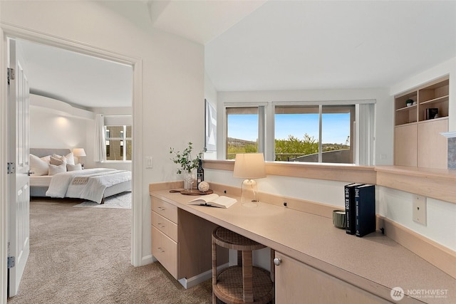 3900 2nd Ave NE Unit 204, Seattle, WA 98105 - home office with light colored carpet and built in study area