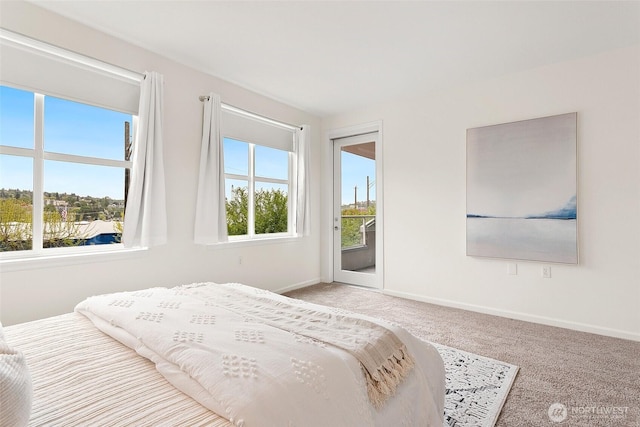 3900 2nd Ave NE Unit 204, Seattle, WA 98105 - bedroom with access to exterior, carpet floors, and baseboards