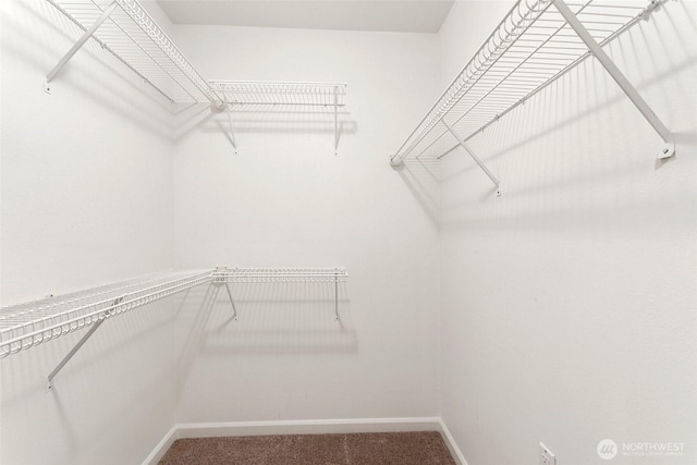 3900 2nd Ave NE Unit 204, Seattle, WA 98105 - walk in closet featuring carpet flooring