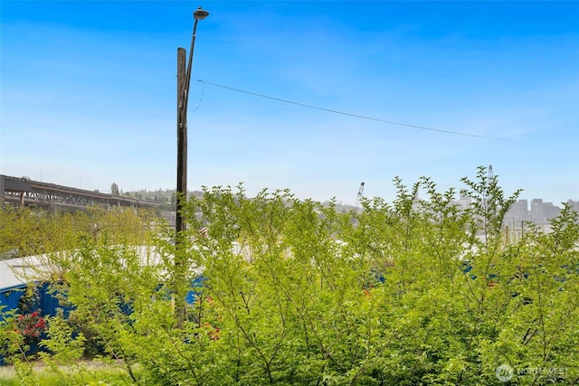 3900 2nd Ave NE Unit 204, Seattle, WA 98105 - view of yard
