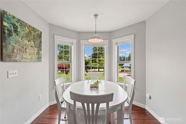 10552 Ski Hill Dr, Leavenworth, WA 98826 - dining area with baseboards and dark wood finished floors