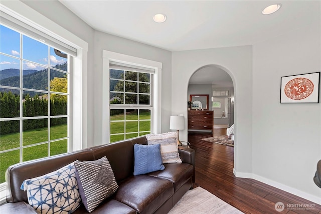 10552 Ski Hill Dr, Leavenworth, WA 98826 - living area featuring arched walkways, baseboards, a mountain view, hardwood / wood-style floors, and recessed lighting