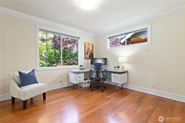 6222 37th Ave NE, Seattle, WA 98115 - photo 15