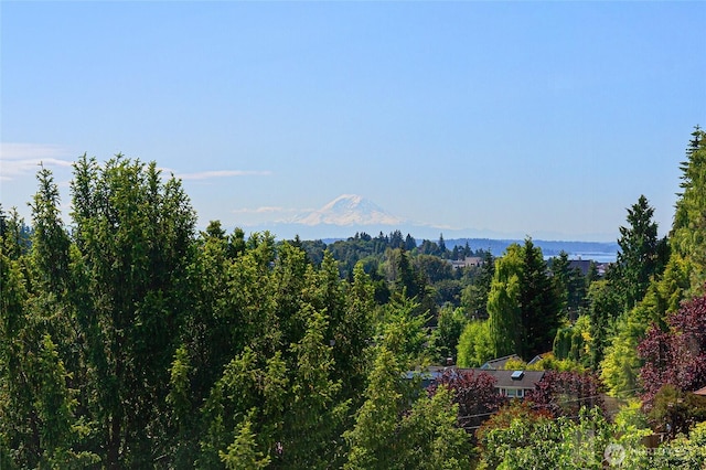 6222 37th Ave NE, Seattle, WA 98115 - photo 26