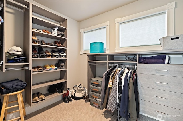 6222 37th Ave NE, Seattle, WA 98115 - photo 28