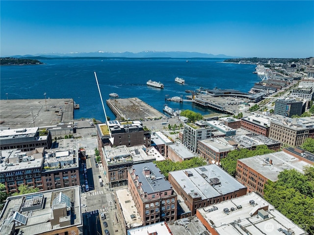 80 S Jackson St Unit 407, Seattle, WA 98104 - photo 33