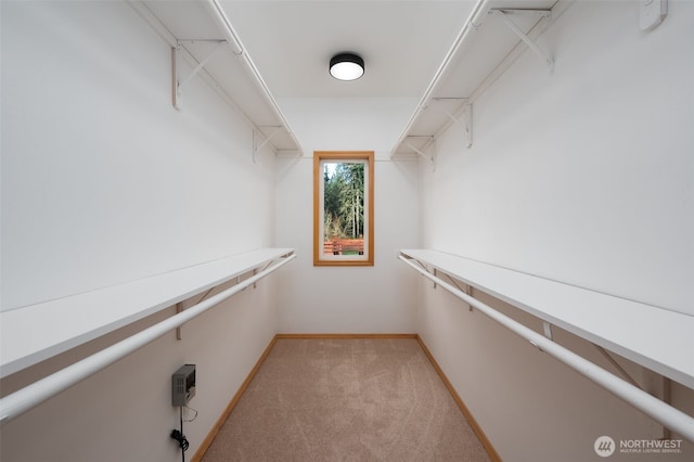 18311 Burn Rd, Arlington, WA 98223 - spacious closet with light colored carpet