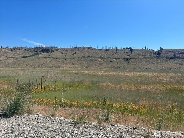 4 Crest Dr, Oroville, WA 98844 - photo 3