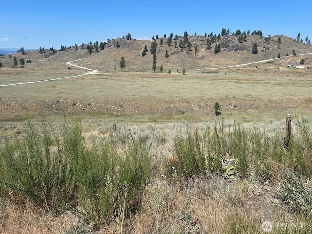 4 Crest Dr, Oroville, WA 98844 - photo 9