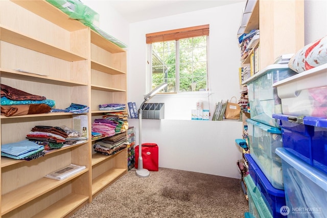 37326 19th Pl S, Federal Way, WA 98003 - view of storage room