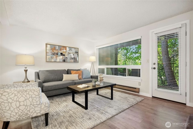 12721 NE 116th St Unit F102, Kirkland, WA 98034 - living area with baseboard heating, wood finished floors, and baseboards