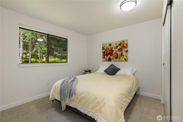 18102 228th Ave NE, Woodinville, WA 98077 - photo 22