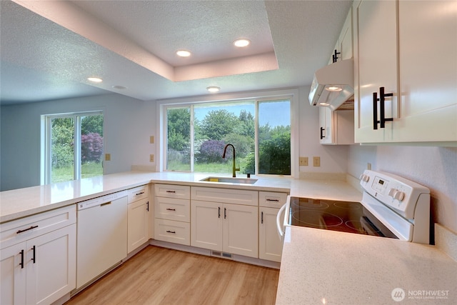 2320 183rd Street Ct E, Tacoma, WA 98445 - kitchen featuring white appliances, a sink, ventilation hood, a textured ceiling, and light countertops