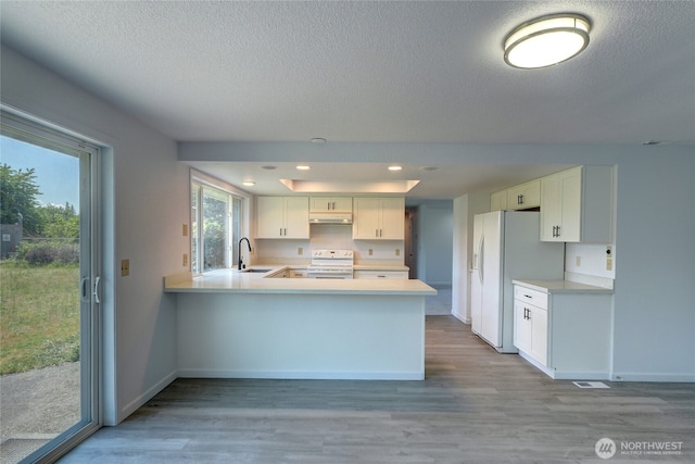 2320 183rd Street Ct E, Tacoma, WA 98445 - kitchen with white appliances, a textured ceiling, a sink, light countertops, and wood finished floors