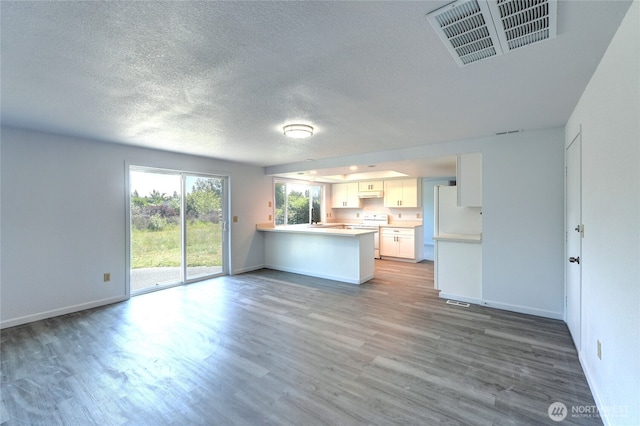 2320 183rd Street Ct E, Tacoma, WA 98445 - unfurnished living room with a textured ceiling, wood finished floors, baseboards, and a sink