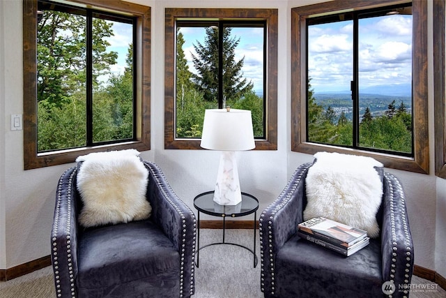 2120 Squak Mountain Loop SW, Issaquah, WA 98027 - living area featuring baseboards, carpet floors, and a textured wall
