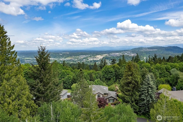 2120 Squak Mountain Loop SW, Issaquah, WA 98027 - bird's eye view of a forest and mountains