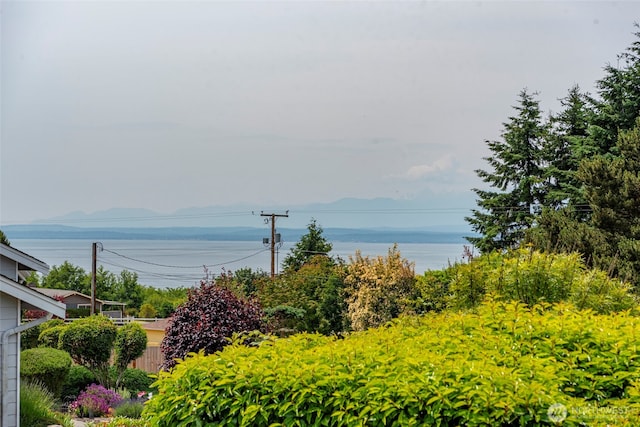 1971 Fircrest Ave, Coupeville, WA 98239 - photo 3