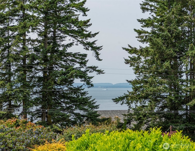 1971 Fircrest Ave, Coupeville, WA 98239 - photo 38