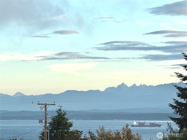 1971 Fircrest Ave, Coupeville, WA 98239 - photo 4